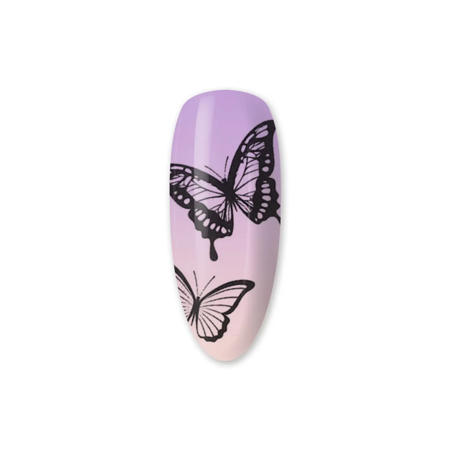 Vodolepky na nehty - Butterflies STZ-1014
