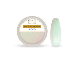 Nail Art zdobení - pigment - P028